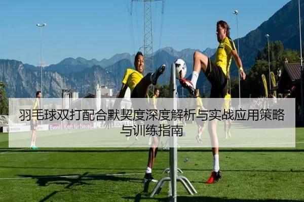 羽毛球双打配合默契度深度解析与实战应用策略与训练指南